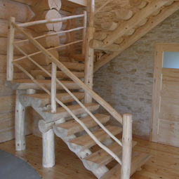 domy z bali z drewna oferta