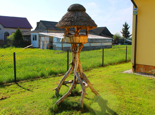 Psie budy karmniki dla ptaków