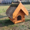Psie budy z drewna