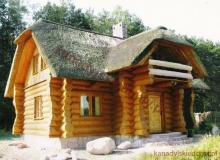 Domy z bali - Projekt nr 6