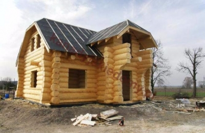 Domy z bali - Projekt nr 39