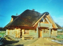 Domy z bali - Projekt nr 41