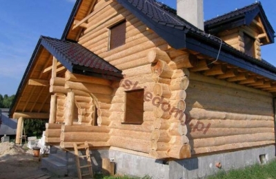 Domy z bali - Projekt nr 42