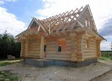 Domy z bali - Projekt nr 55