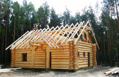 Domy z bali - Projekt nr 77