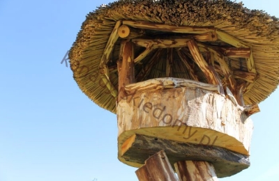 Karmniki dla ptaków