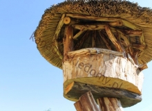 Karmniki dla ptaków