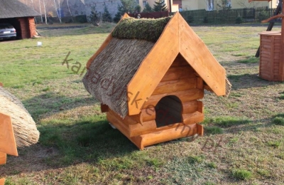 Psie budy z drewna