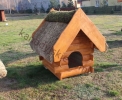 Psie budy z drewna